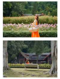 ให้ดอกไม้และขุนเขาโอบกอดเราที่ "Flora Creek"