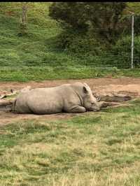 ウェロビー自然動物園／メルボルン