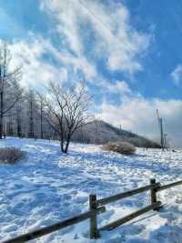 강원도 겨울여행은 여기! 정선 만항재❄️