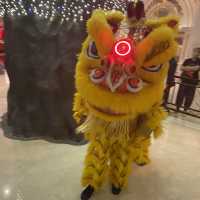CNY CELEBRATION with Choy San Yeah 