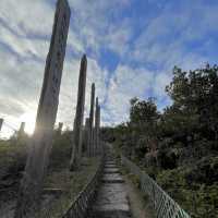 Wisdom Path 
