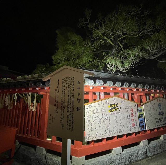 【福岡】初詣は筥崎宮参拝