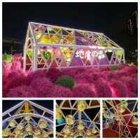 維港遊⛴️幻彩詠香江🎆🎊