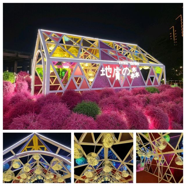 維港遊⛴️幻彩詠香江🎆🎊