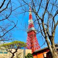 Tokyo tower Stunning views