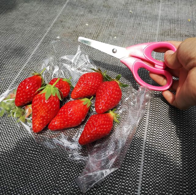 Grandberry Farm Osaka