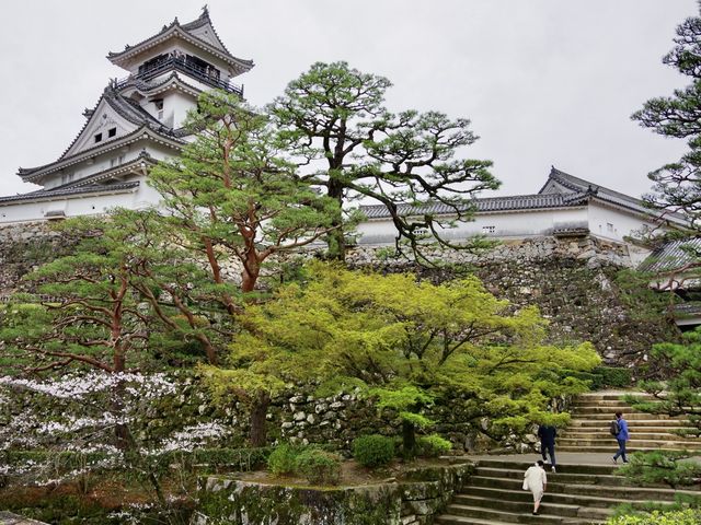 【高知市】日本百名城の春🌸