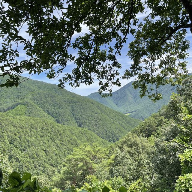 산속의 오두막🏡 요정의집을 소개합니다