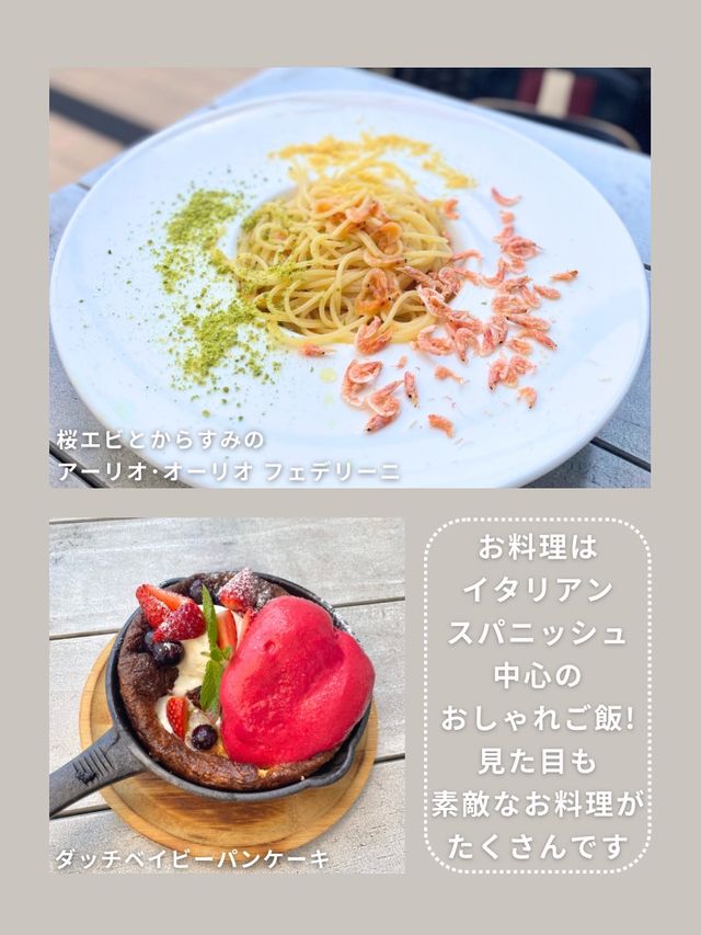 【東京･竹芝】海沿いのおしゃれカフェ🕊️