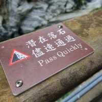 trying to spot swallows in Taroko Gorge 