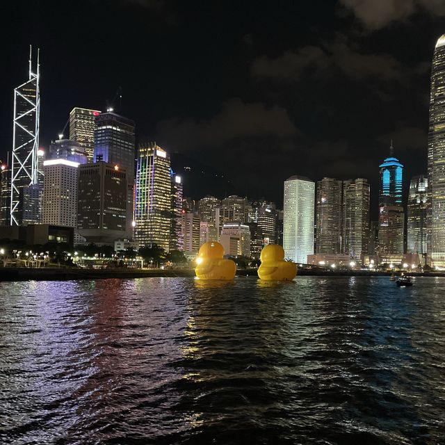 第一次登上 #天星鴨仔團🐤🐤 出發睇鴨仔！