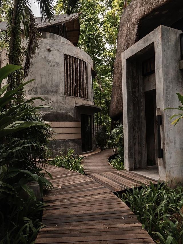 DEWA Kohchang