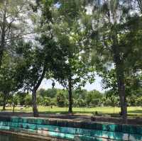 The City Park