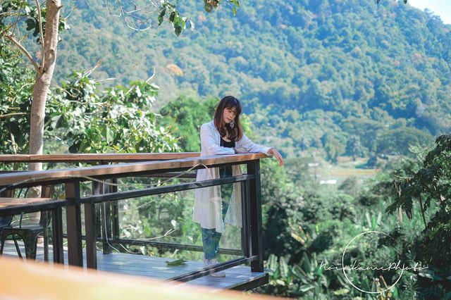 ท่าช้างฮิลล์ - Thachang Hill Coffee & Café