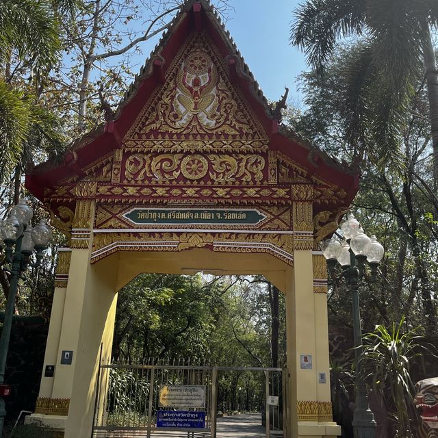 วัดป่ากุง บุโรพุทโธแห่งแดนอีสาน📍