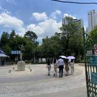 태국 방콕 도심공원 추천 벤짜시릿🌳 