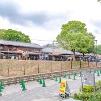 【大阪】都会の芝生！てんしば！