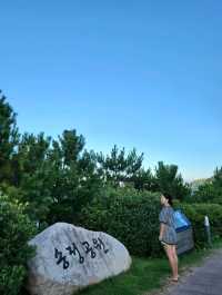 바다바람 맞으며 초록 피톤치드도 느끼는 송정공원🌲