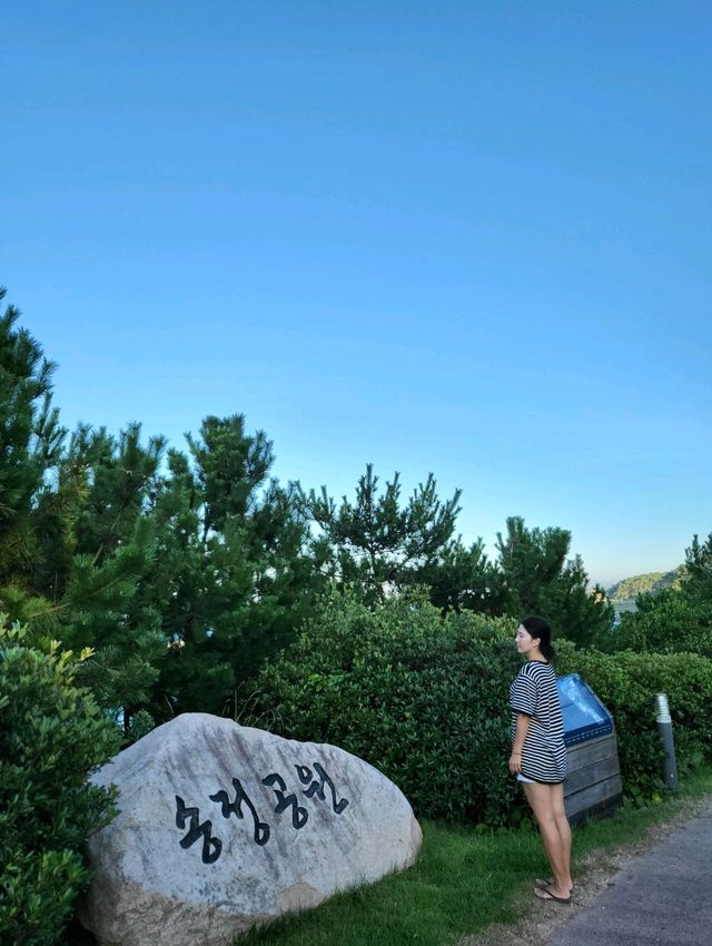 바다바람 맞으며 초록 피톤치드도 느끼는 송정공원🌲