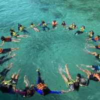 Snorkeling At Chicken Island