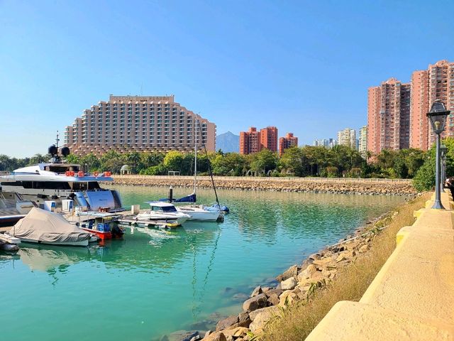 【渡假聖地~黃金海岸🏖️】