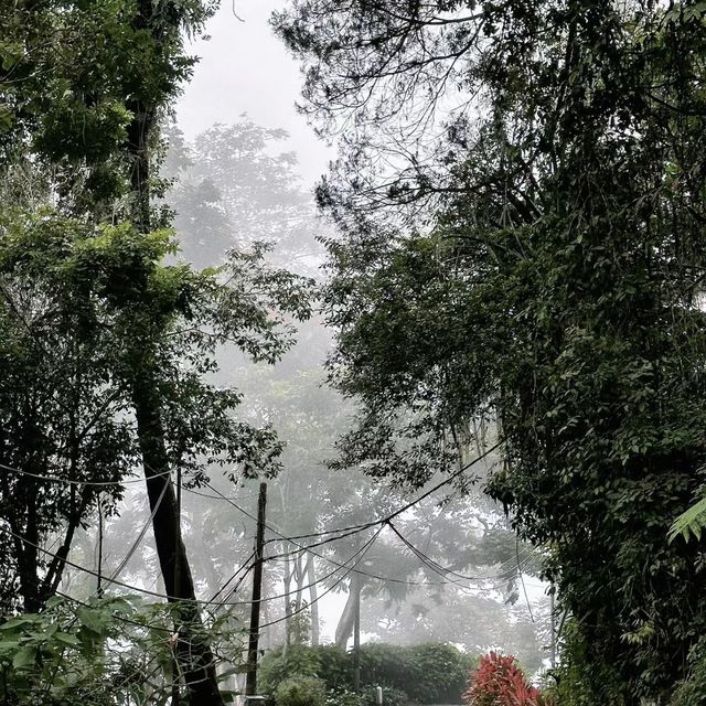 征服自然之巔！探索檳城升旗山生態公園🌳🌄🦋