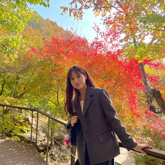 숲 속 산책하기 좋은 서울 근교 핫플🍁