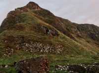 Amazing sunset tour to Giant’s Causeway