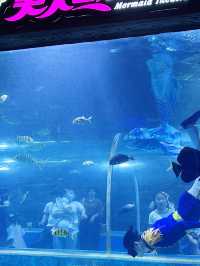 打卡必度海底隧道🐬🐟🐠 10,000尺超大型水族館❤️