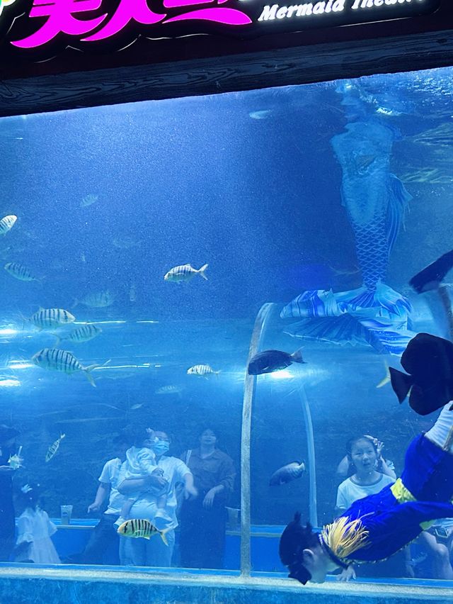 打卡必度海底隧道🐬🐟🐠 10,000尺超大型水族館❤️
