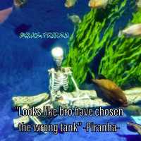 The Gateway to The Marine World