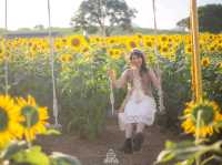 🌻ทุ่งทานตะวัน🌻@ไร่มณีศร