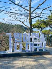 대구여행의 필수코스 앞산전망대