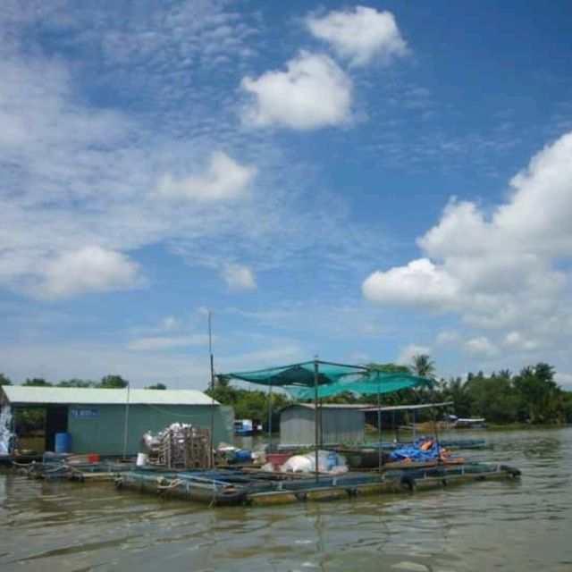 Mekong River from Ho Chi Minh