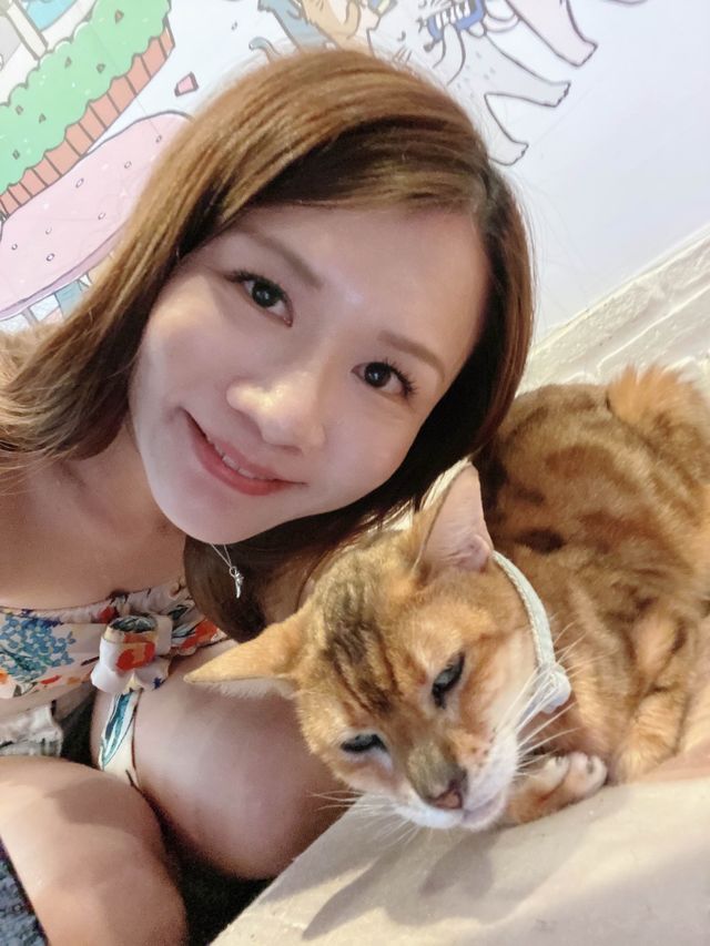 曼谷貓cafe 