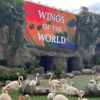 Asia Largest Birdpark - TIPS shared!