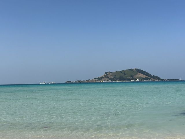 겨울-봄의 제주도는 아름다웠다…😌