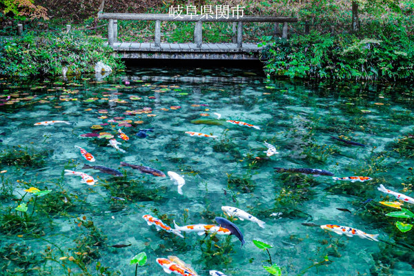 日本最大級 模写油彩風景画池のある風景 絵画 - 絵画