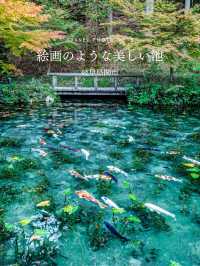 絵画のように美しい池 (岐阜県関市)