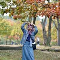 Enjoy the photoahoot in Nami Island