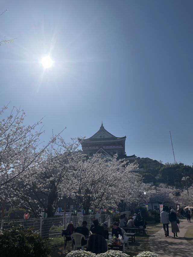 熱海でお花見するならここ！熱海の絶景を一望できる熱海城！