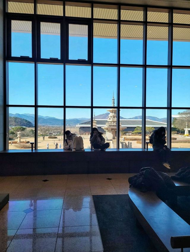 국립박물관경주는 추운날 경주실내여행코스로 딱✨️