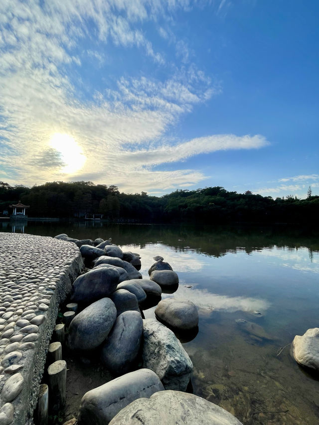 深圳最美植物園，湖光山色，處處都是打咭位