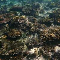 Iboih, Aceh snorkeling.. moment to joy