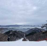 용평리조트 최고