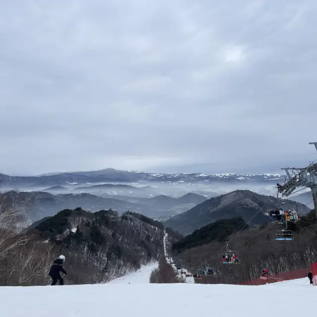 용평리조트 최고