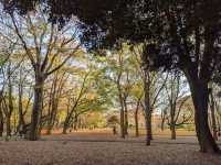 Yoyogi Park
