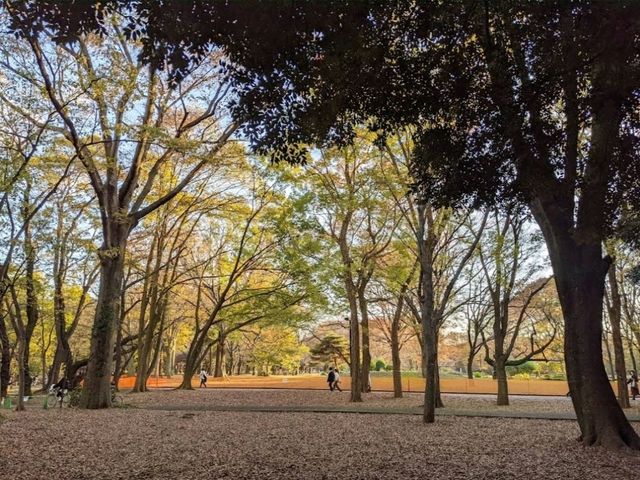 Yoyogi Park