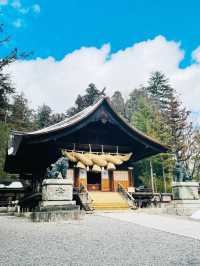 【長野県/下諏訪　全国にある諏訪神社の総本社『諏訪大社』の2つ目⛩️秋宮】