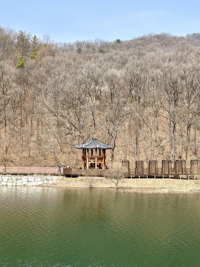 오리들과 멋진 자연 경관 풍경을 보며 ⛴️ 산책할 수 있는 마장호수 둘레길